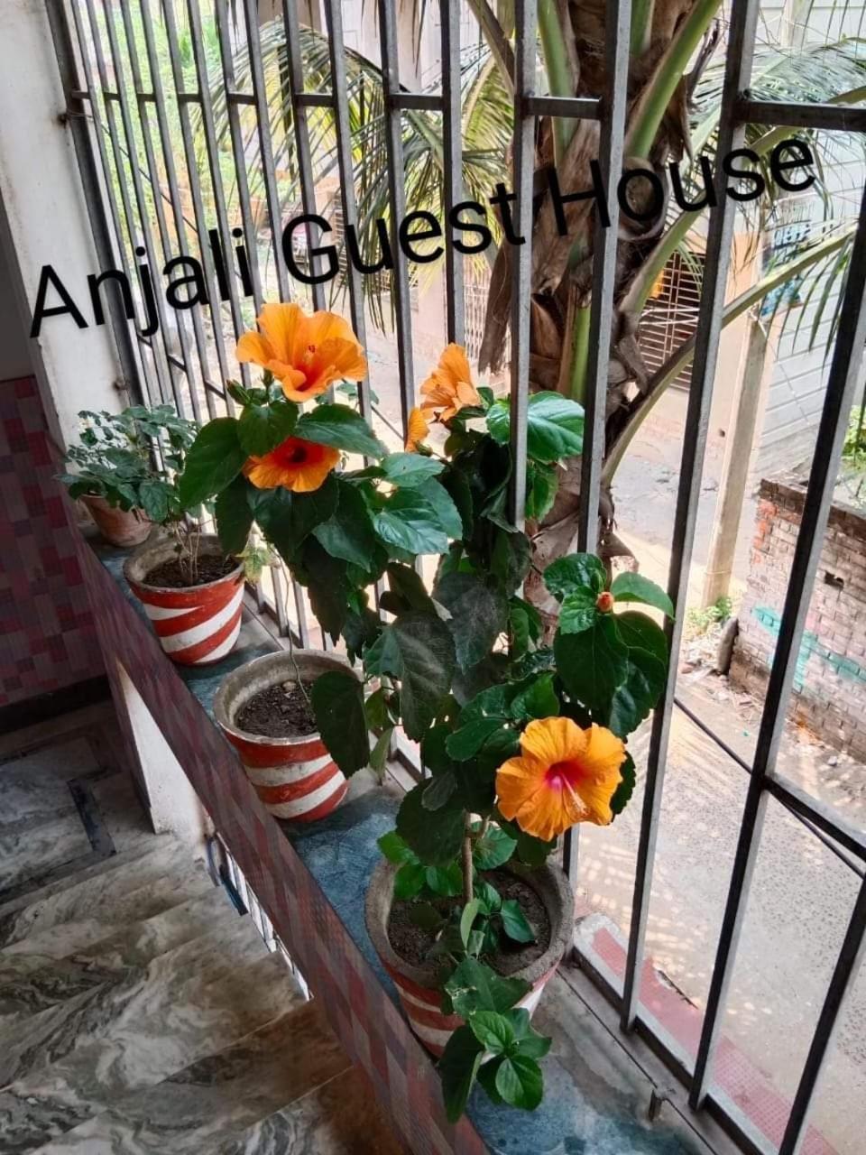Anjali Guest House Digha  Exterior foto
